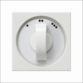 GIRA 066503 Bedienelement / Zentralplatte Schalterprogramm