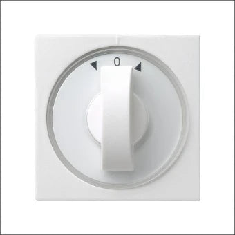 GIRA 066627 Bedienelement / Zentralplatte Schalterprogramm