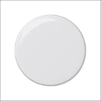 GIRA 065003 Bedienelement / Zentralplatte Schalterprogramm