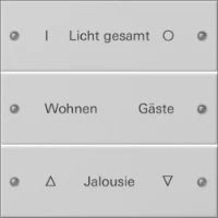 GIRA 511300 Tastsensor Bussystem