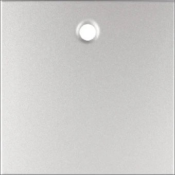 BERKER 11461404 Bedienelement / Zentralplatte Schalterprogramm 55.5 mm
