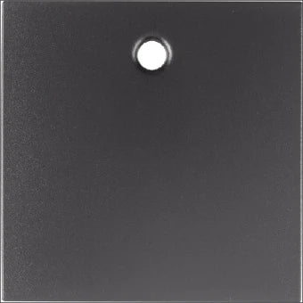 BERKER 11461606 Bedienelement / Zentralplatte Schalterprogramm 55.5 mm