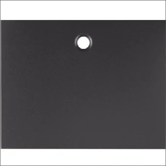 BERKER 11477006 Bedienelement / Zentralplatte Schalterprogramm 70.5 mm