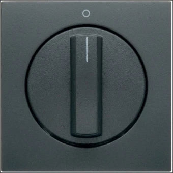 BERKER 11506086 Bedienelement / Zentralplatte Schalterprogramm 58 mm
