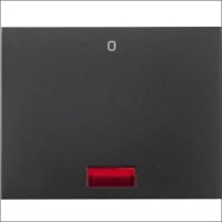 BERKER 613032 Installationsschalter