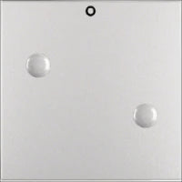 BERKER 613032 Installationsschalter