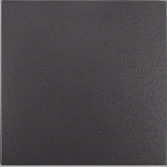 BERKER 16201606 Bedienelement / Zentralplatte Schalterprogramm 55.7 mm