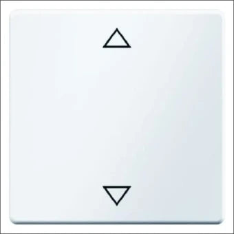 BERKER 16206079 Bedienelement / Zentralplatte Schalterprogramm 58 mm