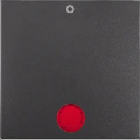 BERKER 613032 Installationsschalter
