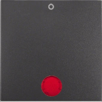 BERKER 16241606 Bedienelement / Zentralplatte Schalterprogramm 55.7 mm