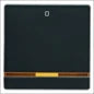 BERKER 613032 Installationsschalter
