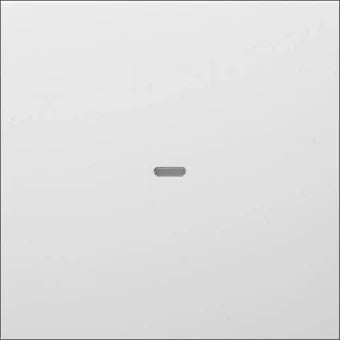 BERKER 80960289 Bedienelement / Zentralplatte Schalterprogramm 55 mm