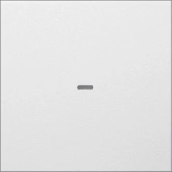 BERKER 80960299 Bedienelement / Zentralplatte Schalterprogramm 55 mm