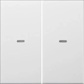 BERKER 80960389 Bedienelement / Zentralplatte Schalterprogramm 55 mm