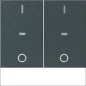 BERKER 80142170 Tastsensor Bussystem