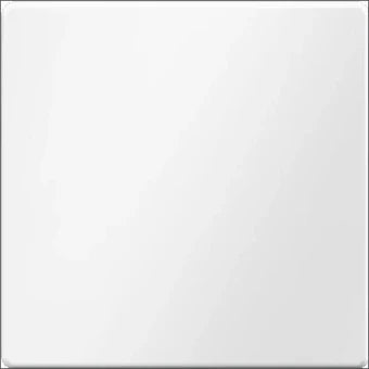 BERKER 85141129 Intelligent bedieningselement