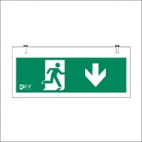 HBI 3L0606F Noodverlichtingsarmatuur