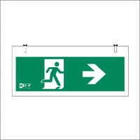 HBI 3L0606F Noodverlichtingsarmatuur