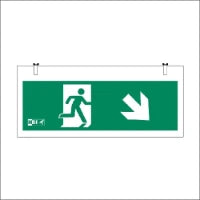 HBI 3L0606F Noodverlichtingsarmatuur
