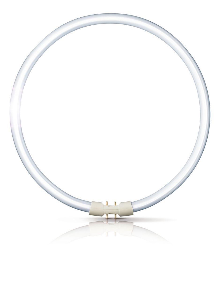 PHILIPS FLUORESCENT TUBE MASTER TL5 Circular 22W/830 -Art. 64095625