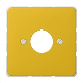JUNG 564GE Bauteil / Zentralplatte Kommunikations-Schalterprogramm