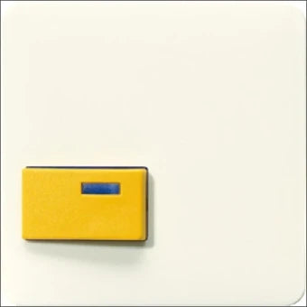 JUNG 642D Bedienelement / Zentralplatte Schalterprogramm 67 mm