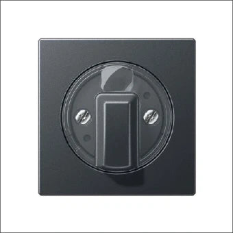 JUNG A1541BFANM Bedienelement / Zentralplatte Schalterprogramm 55 mm