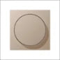 JUNG AC583CH AC 583 CH Afdekraam schakelmateriaal