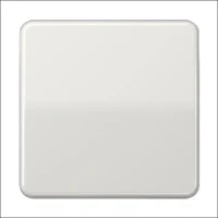 JUNG CD1520NLG Steckdose