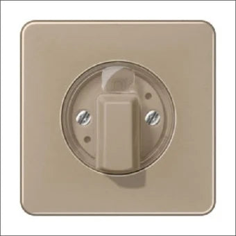JUNG CD1541GB Bedienelement / Zentralplatte Schalterprogramm 67 mm