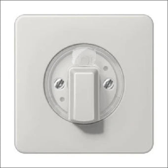 JUNG CD1541LG Bedienelement / Zentralplatte Schalterprogramm 67 mm