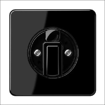 JUNG CD1541SW CD 1541 SW Bedieningselement /centraalplaat schakelmateriaal