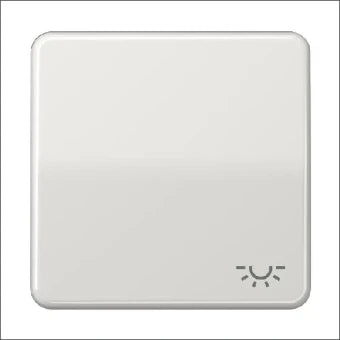 JUNG CD590LLG Bedienelement / Zentralplatte Schalterprogramm 67 mm