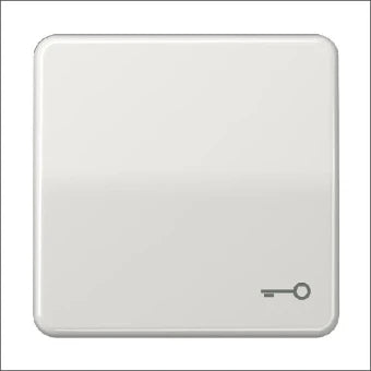 JUNG CD590TLG Bedienelement / Zentralplatte Schalterprogramm 67 mm