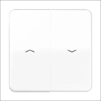 JUNG CD595PBFWW Bedienelement / Zentralplatte Schalterprogramm 67 mm
