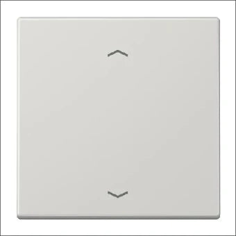 JUNG ENOLS990PLG Sender/Fernbedienung fuer Schalterprogramm