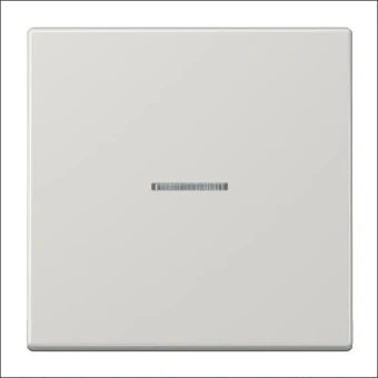 JUNG FMLS1561.07LG Intelligent bedieningselement