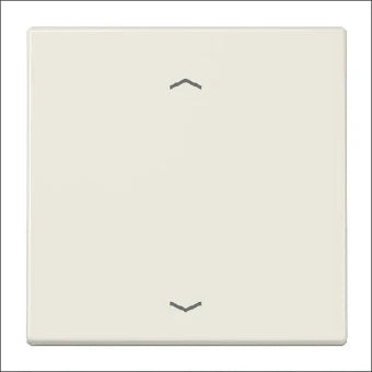 JUNG LS990P Bedienelement / Zentralplatte Schalterprogramm 70 mm