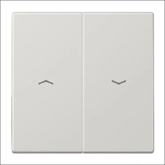 JUNG LS995PLG LS 995 P LG