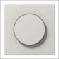 JUNG LS1941LG Bedienelement / Zentralplatte Schalterprogramm 70 mm