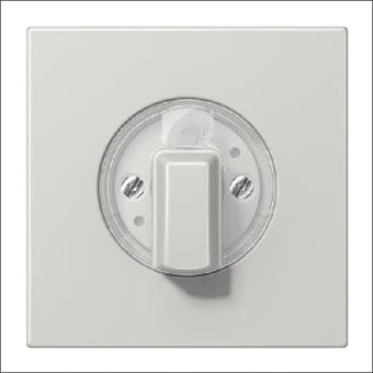 JUNG LS1941LG Bedienelement / Zentralplatte Schalterprogramm 70 mm