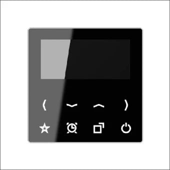 JUNG RADA-DISPSW Radio