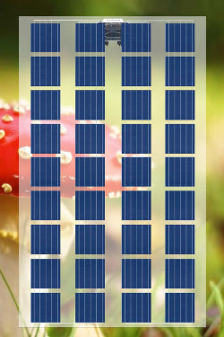 VGS - Solarmodul - 36 Cells - VE136PVTT 150-165 165 W - Art. 146998