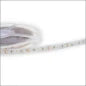 PROLUMIA 46291361 Zubehoer/Teile fuer lichtslang/-band