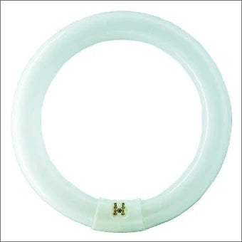 PHILIPS 8711500284761 Leuchtstoffroehre