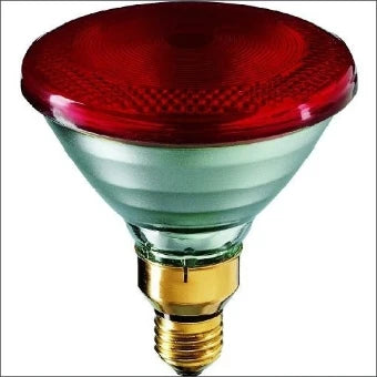 PHILIPS 8711500600530 IR175RPAR Gloeilamp met reflector