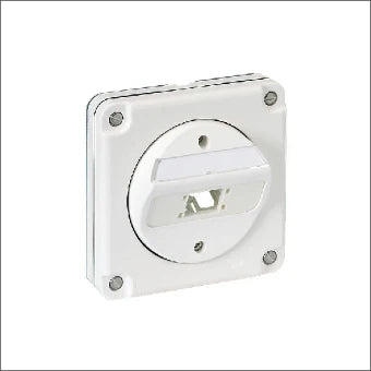 REICHLE EN DEMASSARI 307037 Datacom-Dose (Twisted Pair)