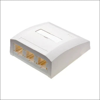 REICHLE EN DEMASSARI 507880 Datacom-Dose (Twisted Pair)