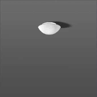 RZB 211005.002 Decken-/Wandleuchte