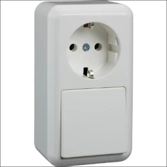 SCHNEIDER 388604 Schakelaar/Steckdose combinatie